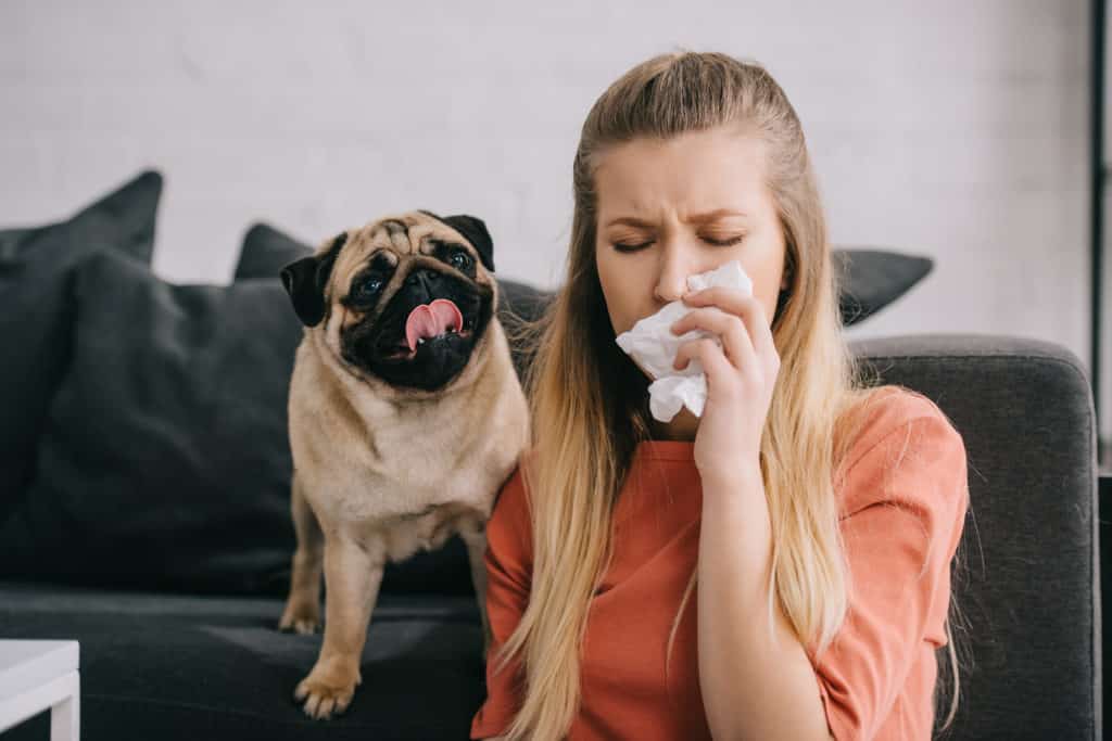 can you outgrow dog allergies