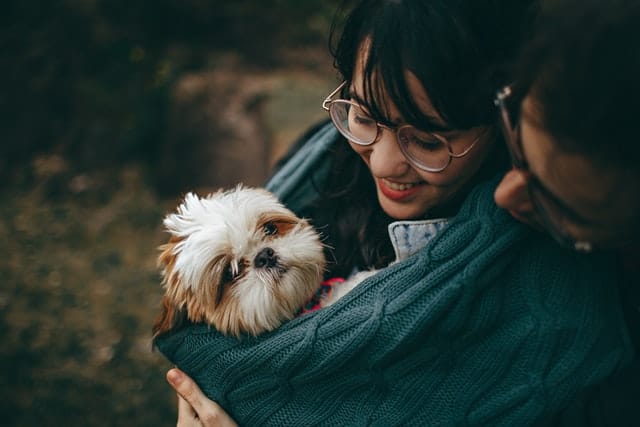 Kiwi couple hugs their Shih Tzu puppy