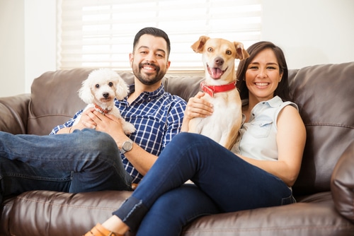 take your time when introducing a new puppy to your dog because it pays off like this happy family
