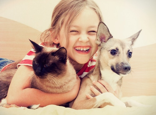 introducing your new puppy to kids and other pets is important for getting along