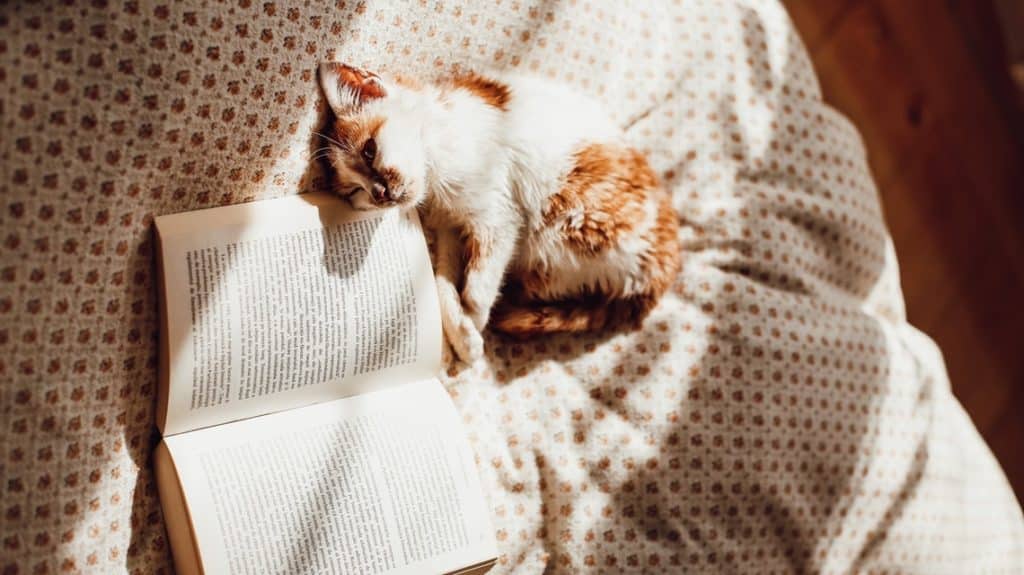 Give dad a new book