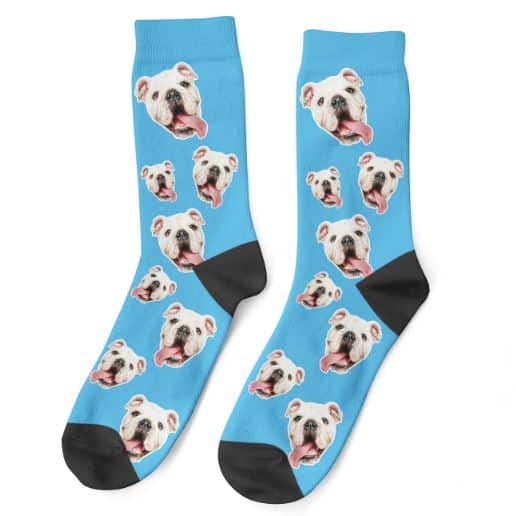 Fathers Day socks - the perfect gift for pet lovers