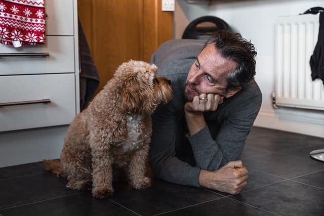 pet dad talks to his dog