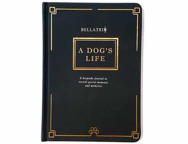 journal makes a great fathers day gift