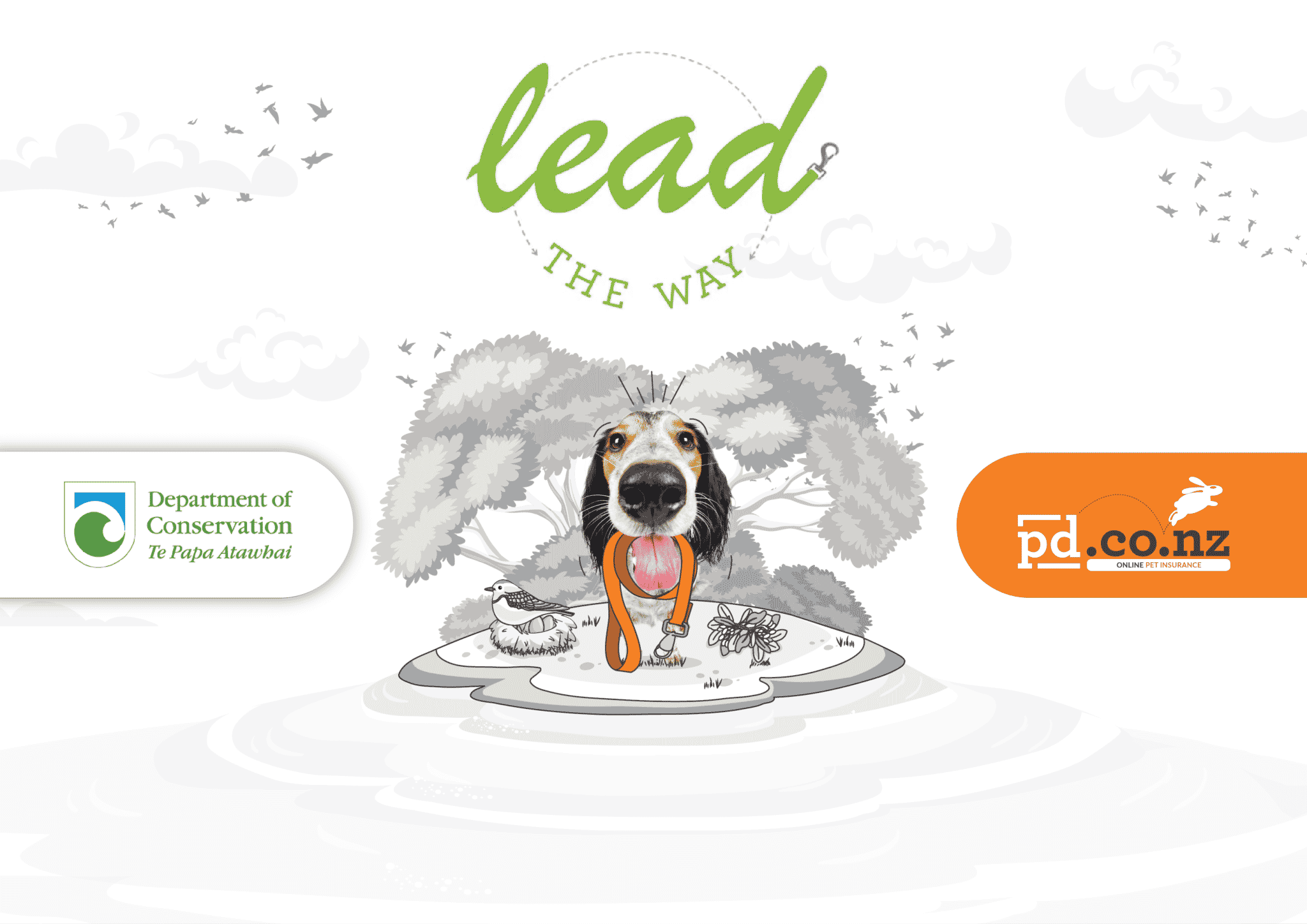 Lead The Way Auckland Protecting NZ Wildlife PD Insurance NZ