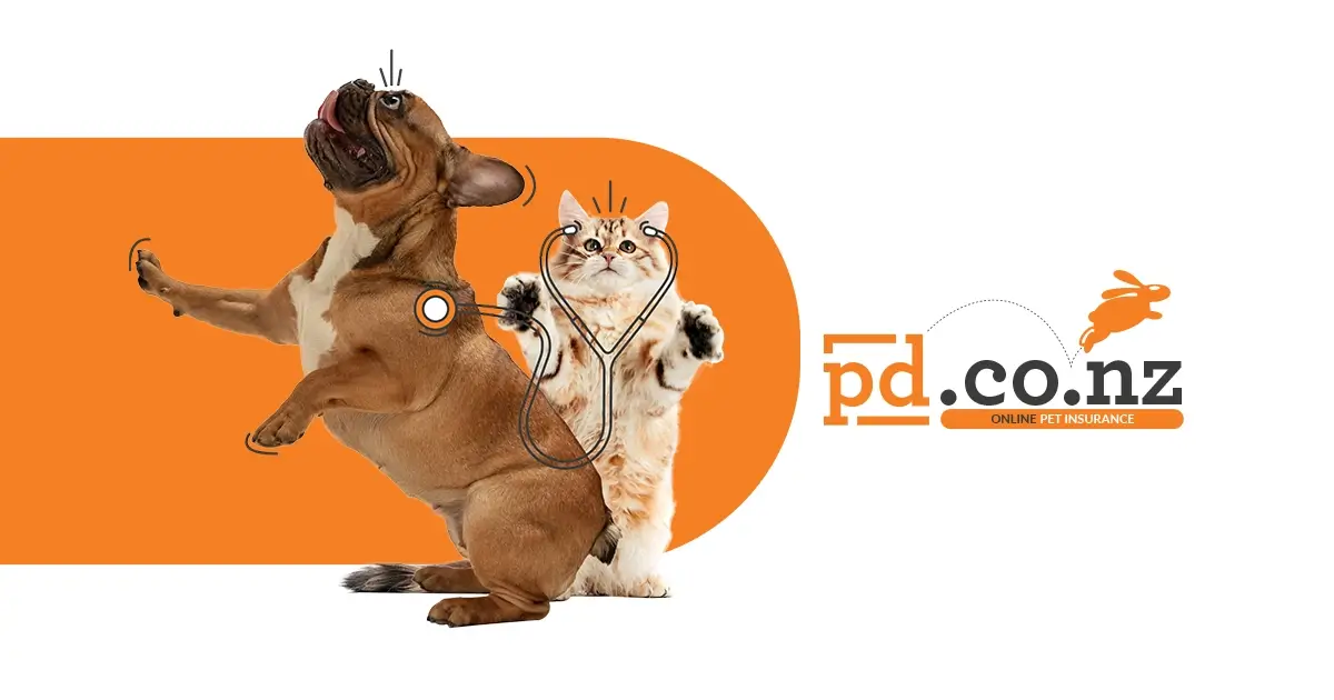 Pet Care Partner Programme Rewards & Benefits PD Insurance