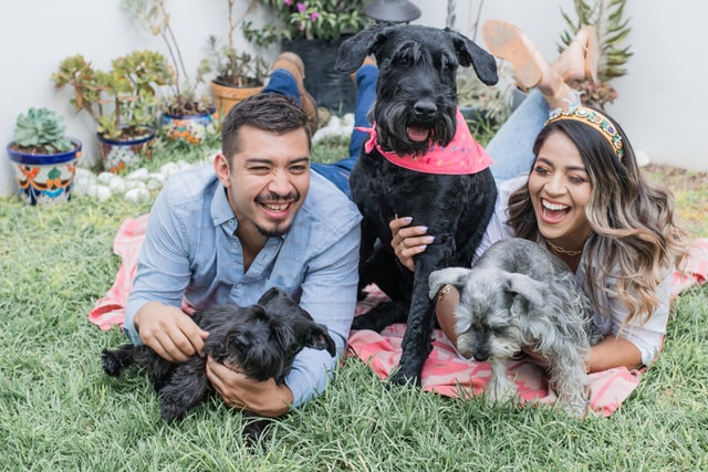 staying at a pet friendly holiday guesthouse