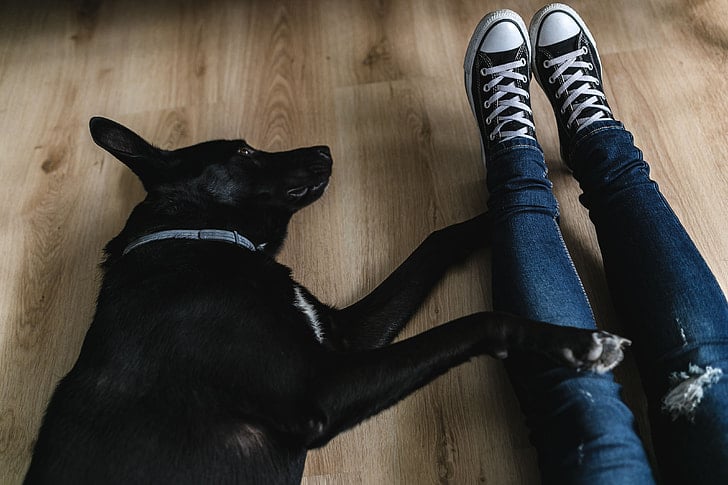 owner keeps her dog company during a thunderstorm