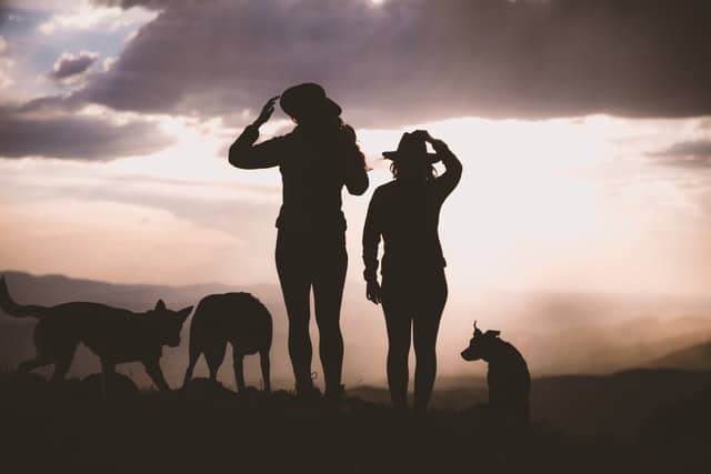 why are some dogs afraid of thunder and others, like these, not?