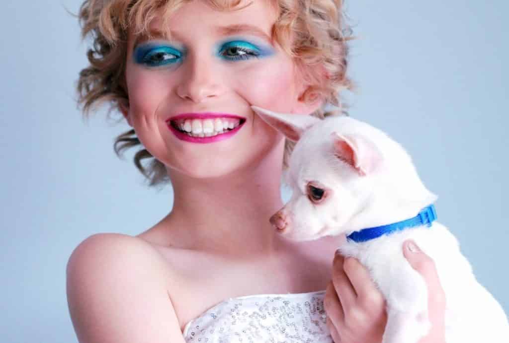Chihuahua shakes because of low blood sugar