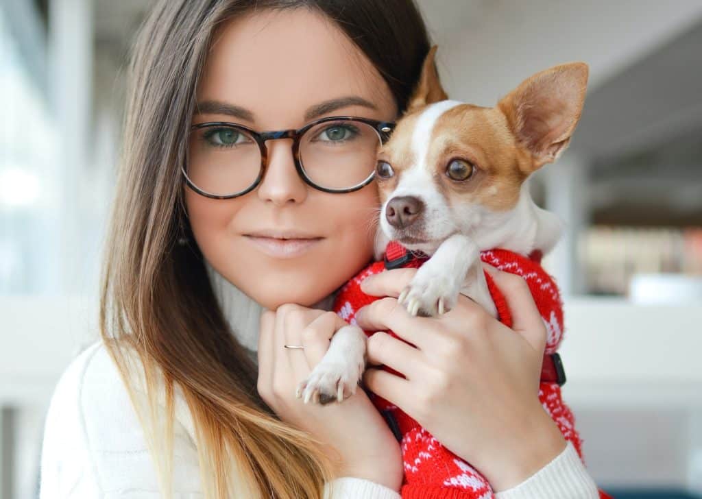 dog jacket stops chihuahua from shivering from cold