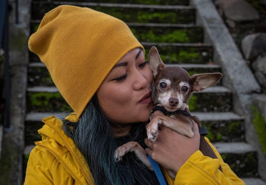 Keep a watchful eye on what dogs eat on walks and in the home
