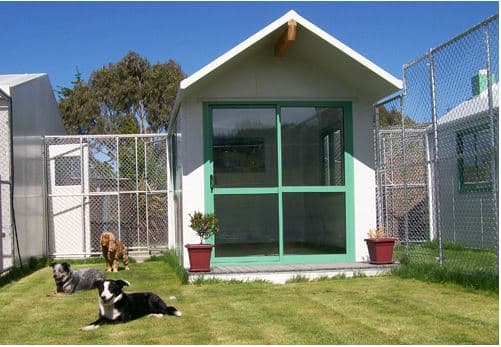 Luxury Pet Vacation