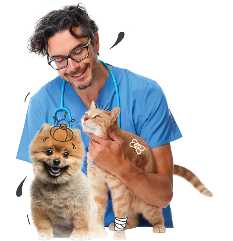 Pet Insurance NZ