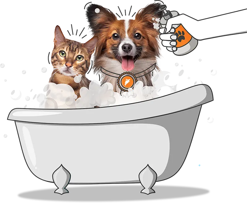 Pet care partner program