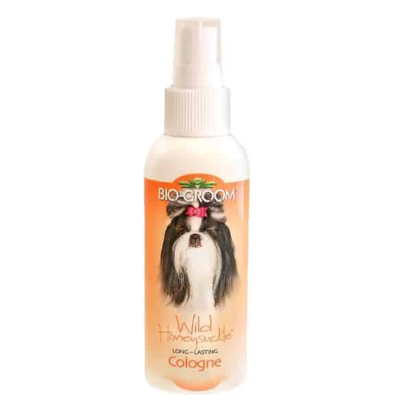 Smelly cat sales perfume nz