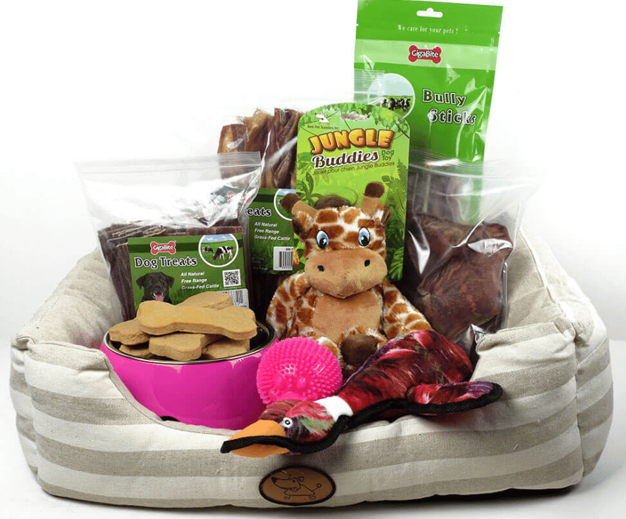 This puppy gift basket is a combination of “I don’t know what to get my doggo for Christmas” and “I want to get my bestie everything for Christmas”. 