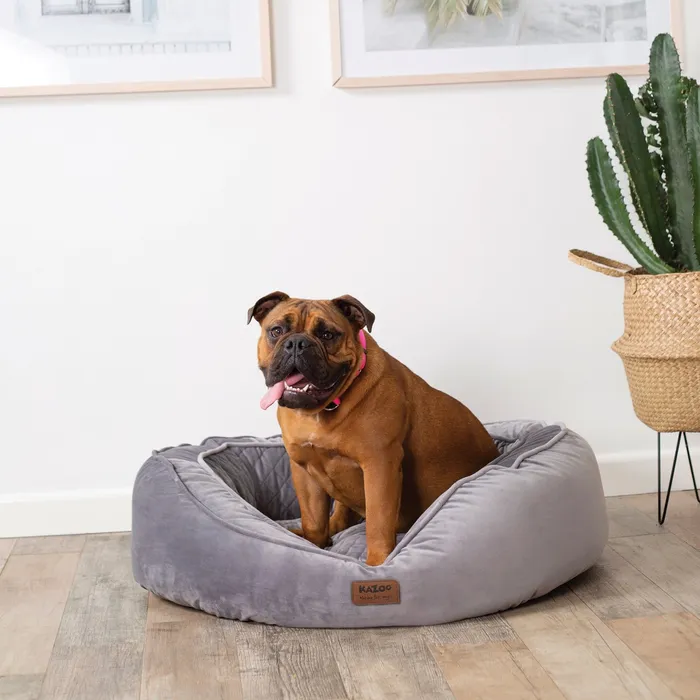 Your furry mate will enjoy optimum comfort with its Christmas gifts for dogs, with support from this luxurious orthopaedic Kazoo Bilby dog bed. 