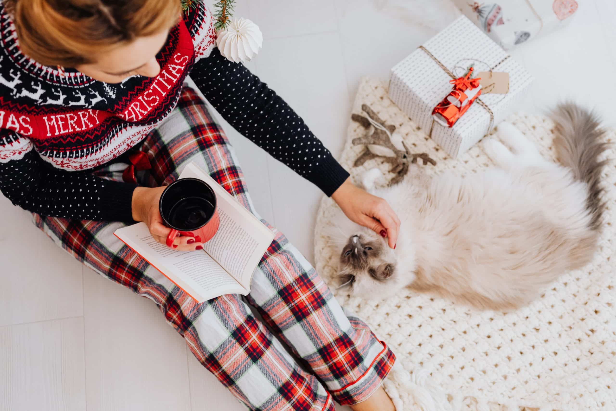 This woman with a Christmas jumper on patting a fluffy white cat is reading about how to find a good pet sitter