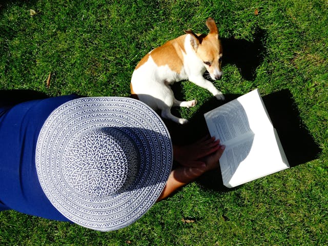 A person with a patterned hat reads a book on green grass, demonstrating the joys of responsible dog ownership. Beside them, their small dog lies contentedly in the sunlight, embodying a perfect moment of peace during their shared holiday.