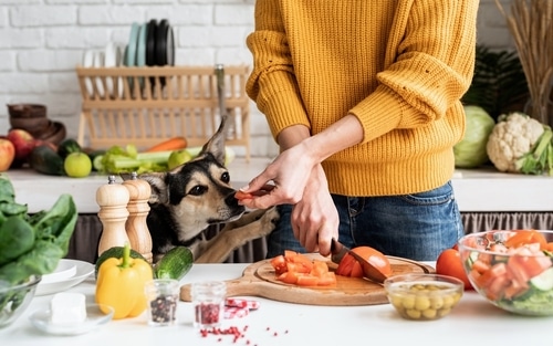 Home cooked pet food can make your pet happy and healthy