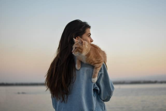 training pets can be an ongoing practice that helps you bond