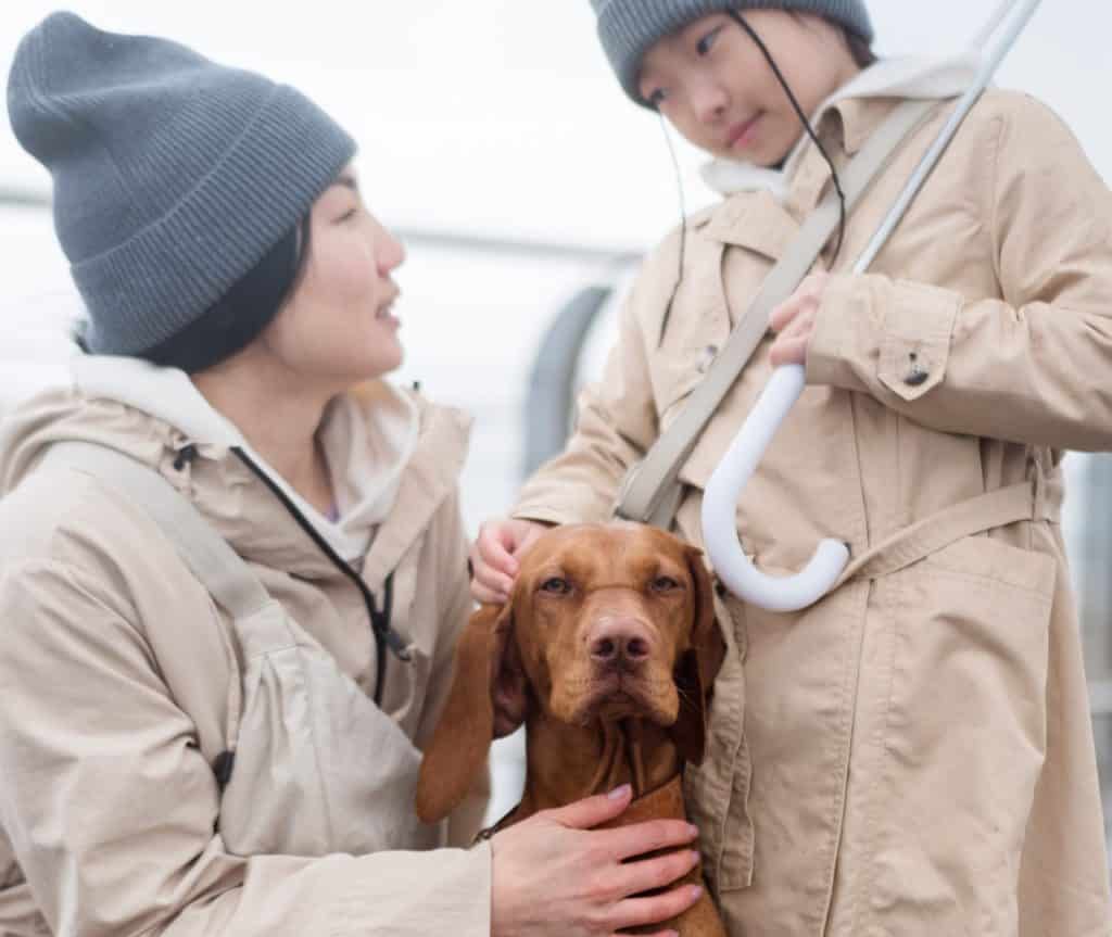 mum and daughter take emergency preparedness and response steps for dog during the onset of Auckland flooding