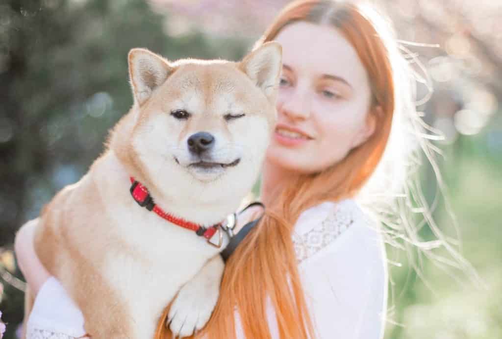 pet owner holds pet 