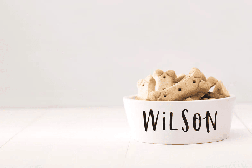 Gifts for dogs NZ things to buy to spoil your dog. A custom dog bowl.