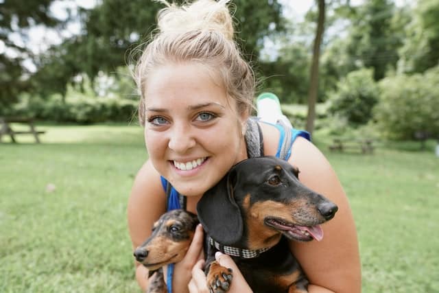 owner hugs her Dachshunds