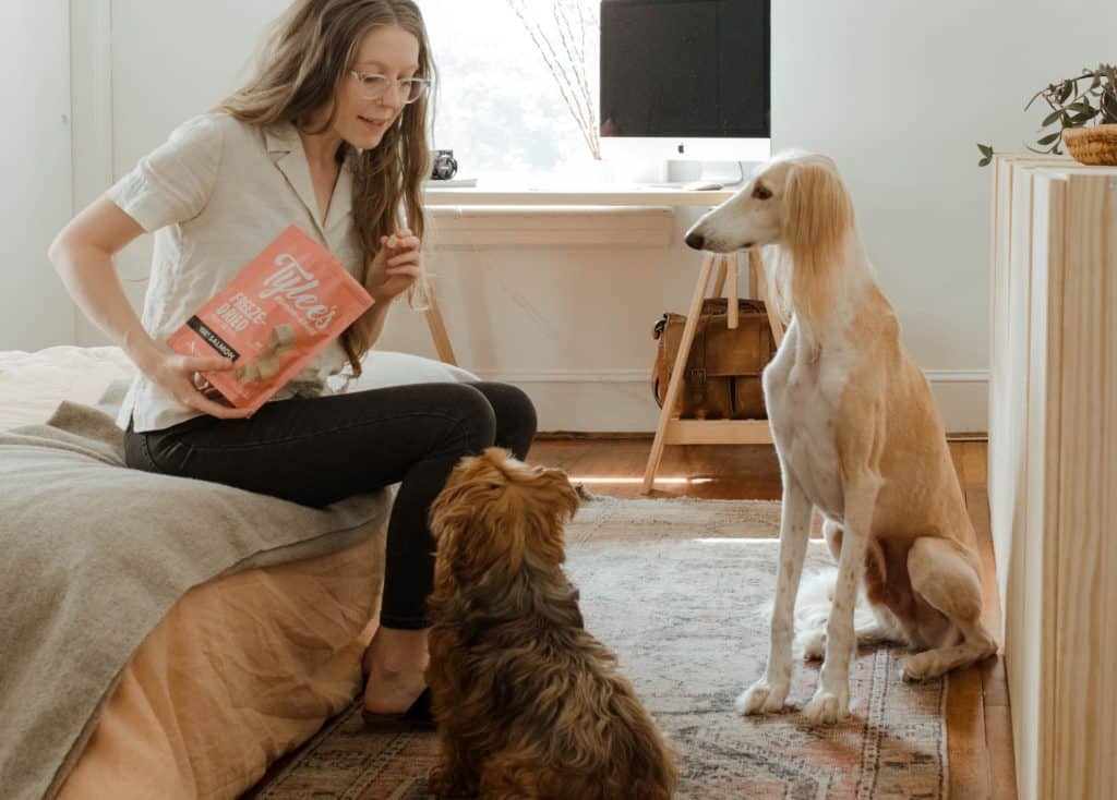 Dog owner doing reward based dog training