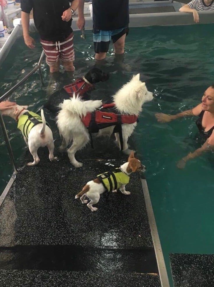 Maria Alojaman with a dog she is training after doing stress relief 