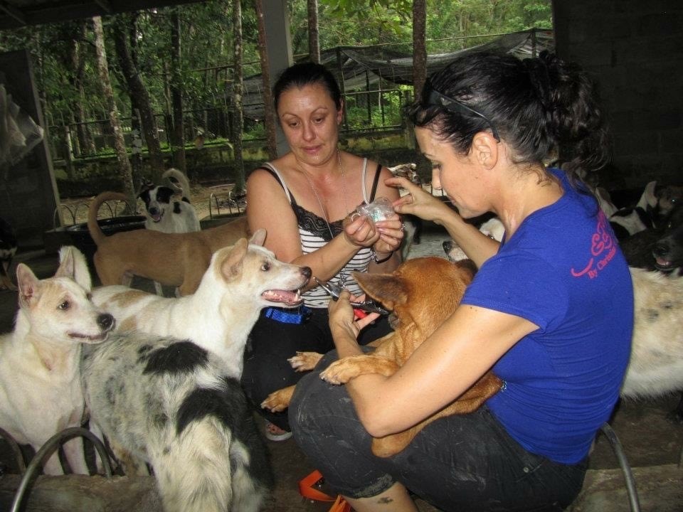 Maria Alojaman with dogs in training