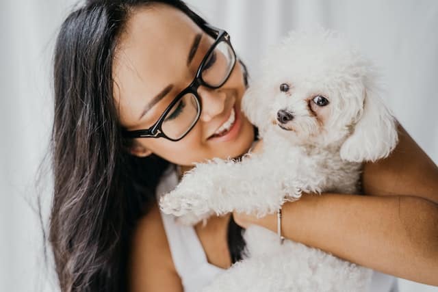 pet lover hugs her maltese poodle