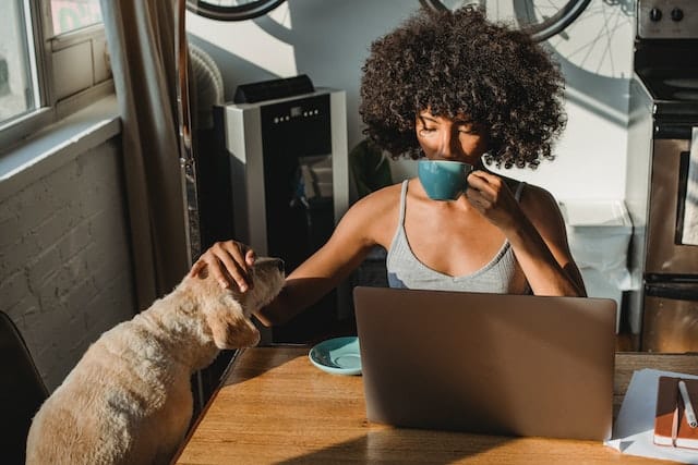 pet lover sponsors a shelter pet online