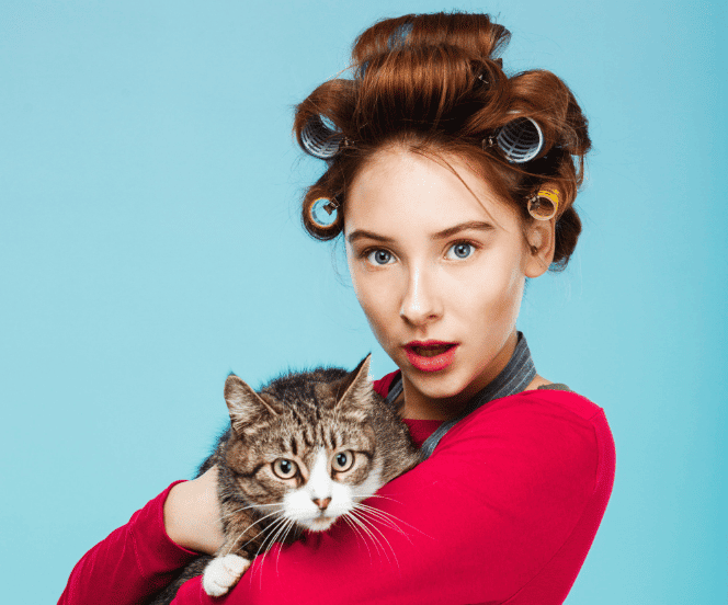 What Makes a Crazy Cat Lady (and Am I One)? - PD Insurance NZ