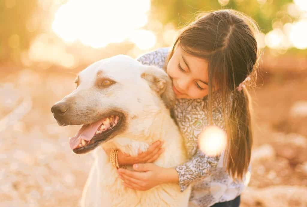 little girl hugs dog who is anxious as it can sense a coming earthquake