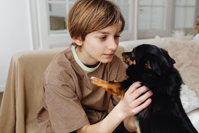 little boys comforts dog who appears to sense an earthquake nervously