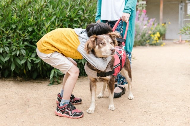 little boys hugs dog on World Wildlife Day