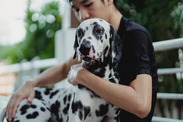 man celebrates World Wildlife Day with his dog