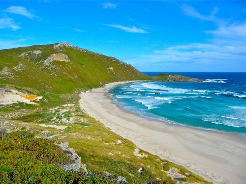 A New Zealand Beach. Learn about marine wildlife conservation this sea week NZ