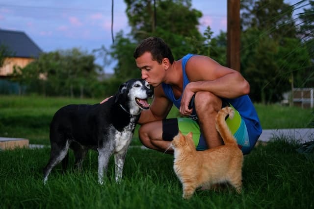 pet lover spends time caring for his neighbour's cat and dog