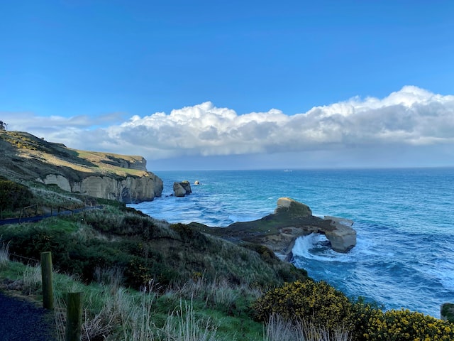 New Zealand coastline