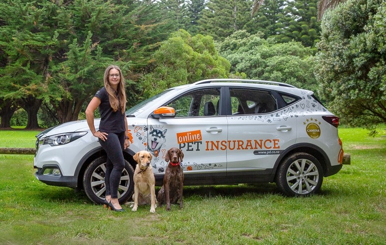 PD Pet Insurance BDM, Jacqui with her dogs in the PD car