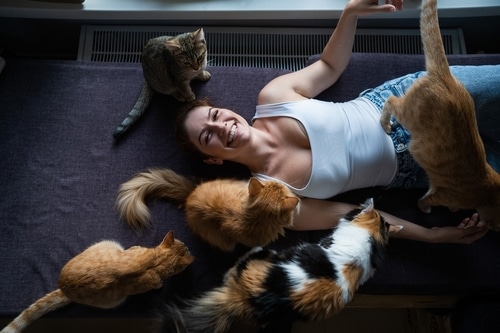 a lady lies on the ground looking up at the camera surrounded by her many cats
