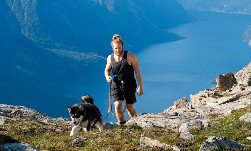 New Zealand pet owner hiking with his high energy husky dog 