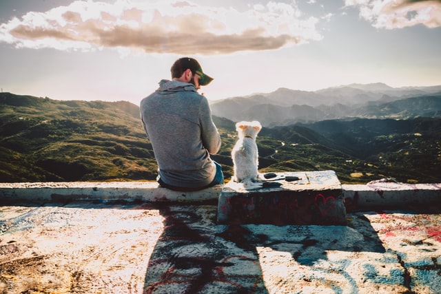 pet parent takes dog on holiday to celebrate National Love Your Pet Day