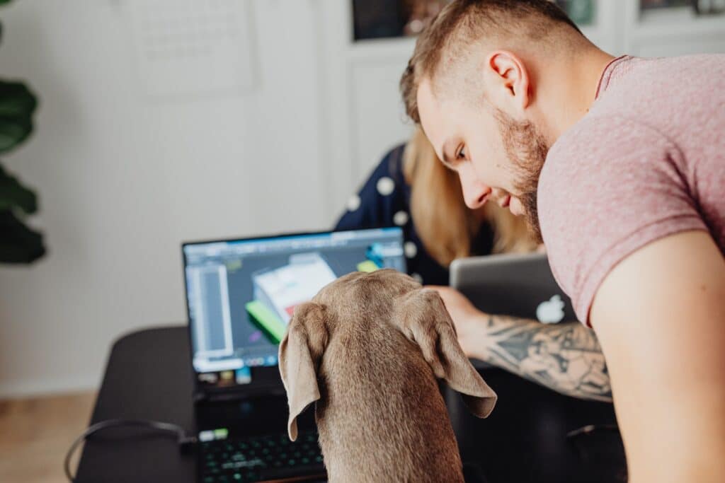 You can ensure your dog is happy and relaxed at work like this one by pet proofing your workspace.