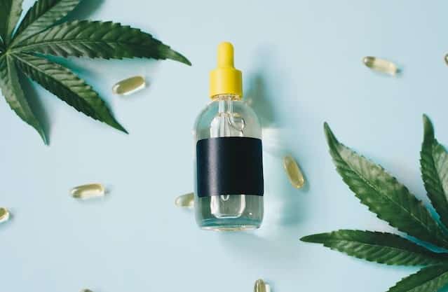 hemp leaves, capsules and oil - the latter of which is said to have health benefits for dogs. 