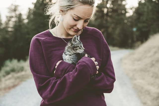 Woman Wearing Purple Sweater Holding Silver Tabby.